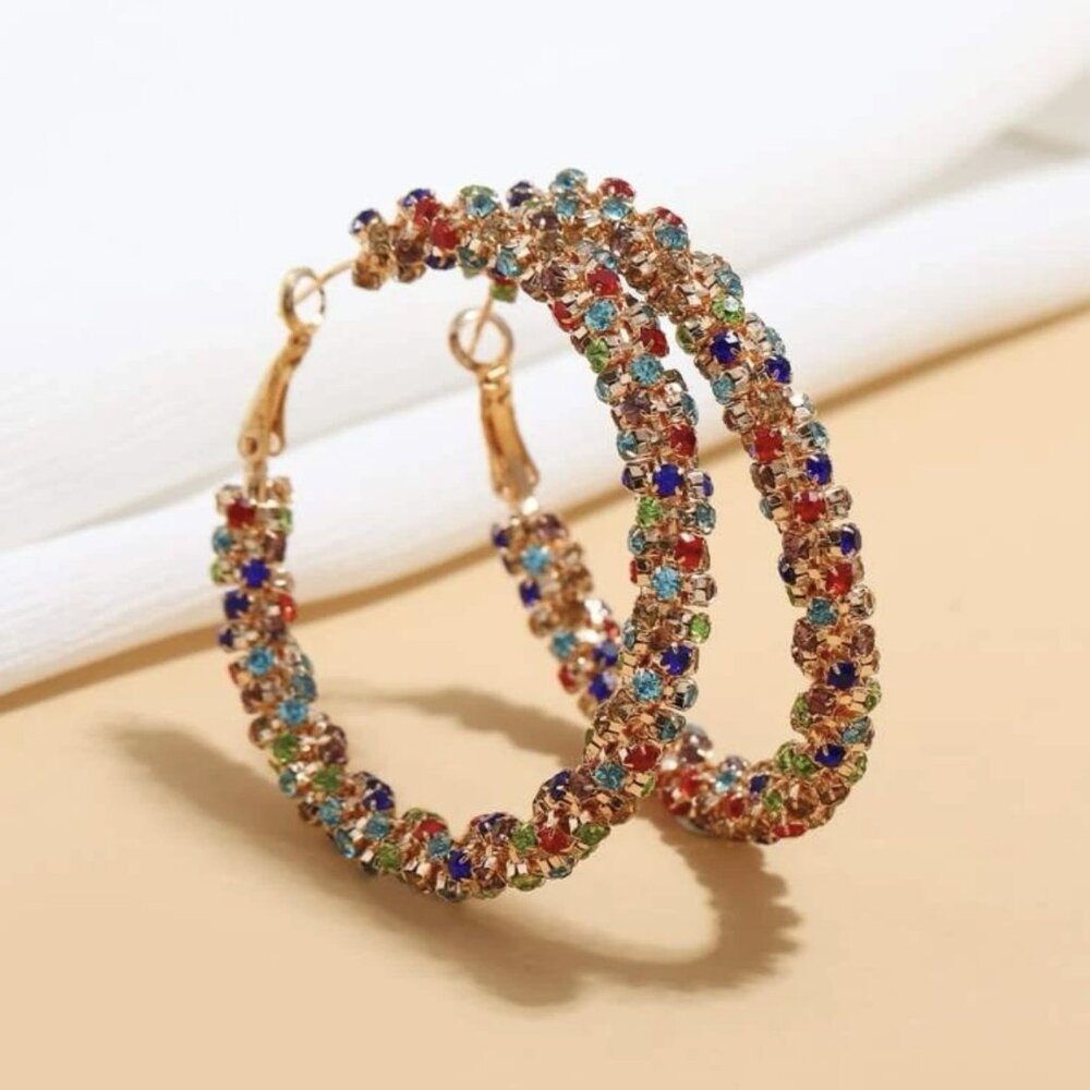 Fashionable MultiColor Stainless Steel Hoop Earrings for women